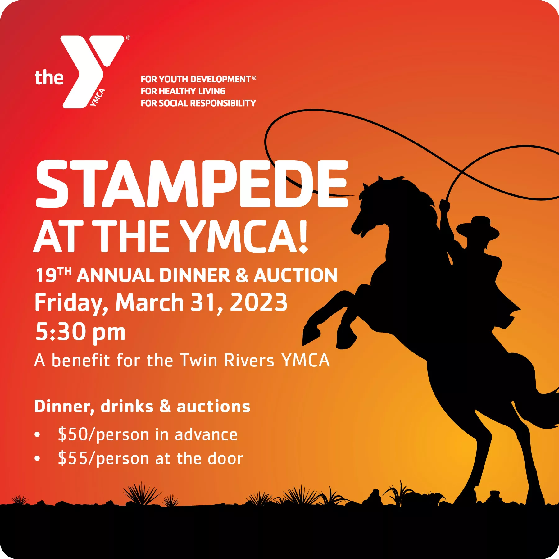 Twin Rivers YMCA Auction graphic