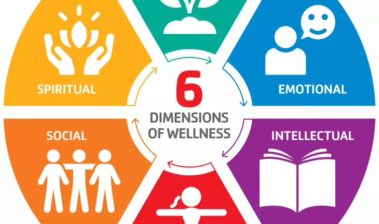 colorful graphic highlighting the 6 dimensions of wellness